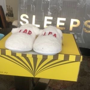 Papa bear men slippers